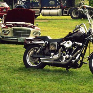 Meet your Posher, Alex